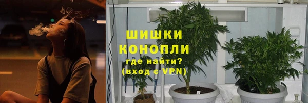 первитин Каменка