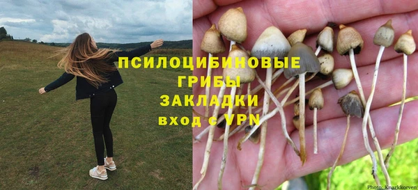 первитин Каменка