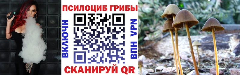 Галлюциногенные грибы Psilocybine cubensis  Купить закладки  Дятьково 
